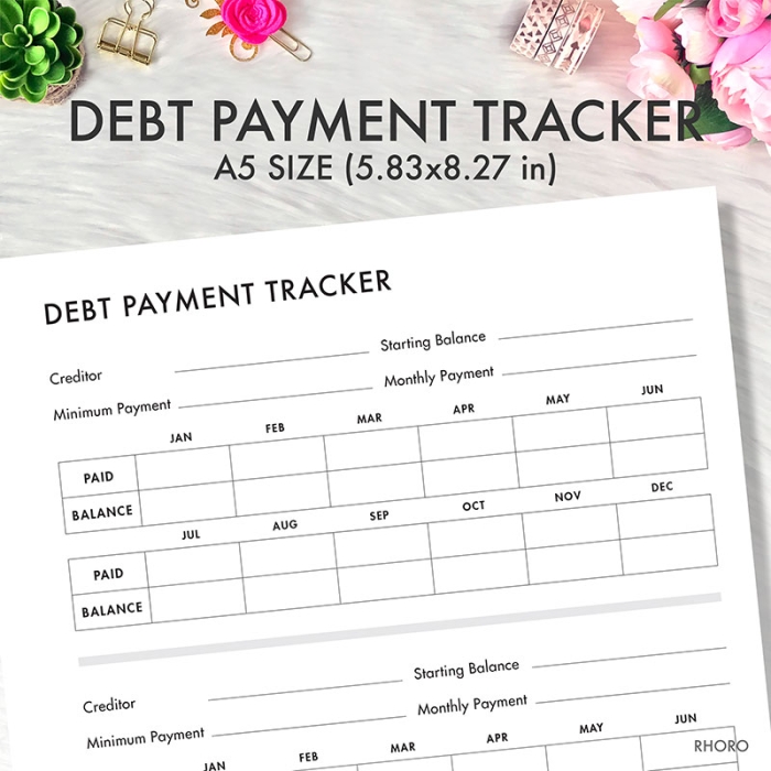 Debt Tracker Payment Log A5 Planner Inserts Printable Refills PDF Template